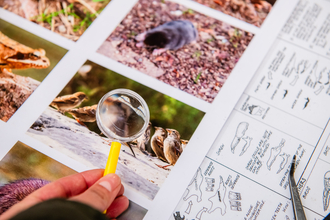 A small magnifying glass is held over a piece of paper containing two images of species, with a species identification sheet underneath it. 
