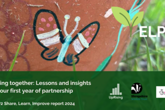 The front page of the Share, Learn, Improve report from ELP2 year 1. It has a photo of a clay pot with a painted butterfly on it, with some grass in the background. The title reads 'Growing together: lessons and insights from our first year of partnership'